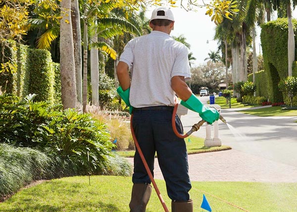 About Vinalhaven ME Pest Control